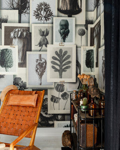 Mind The Gap Wallpaper BLOSSFELDT'S ART FORMS Wallpaper (WP20595)