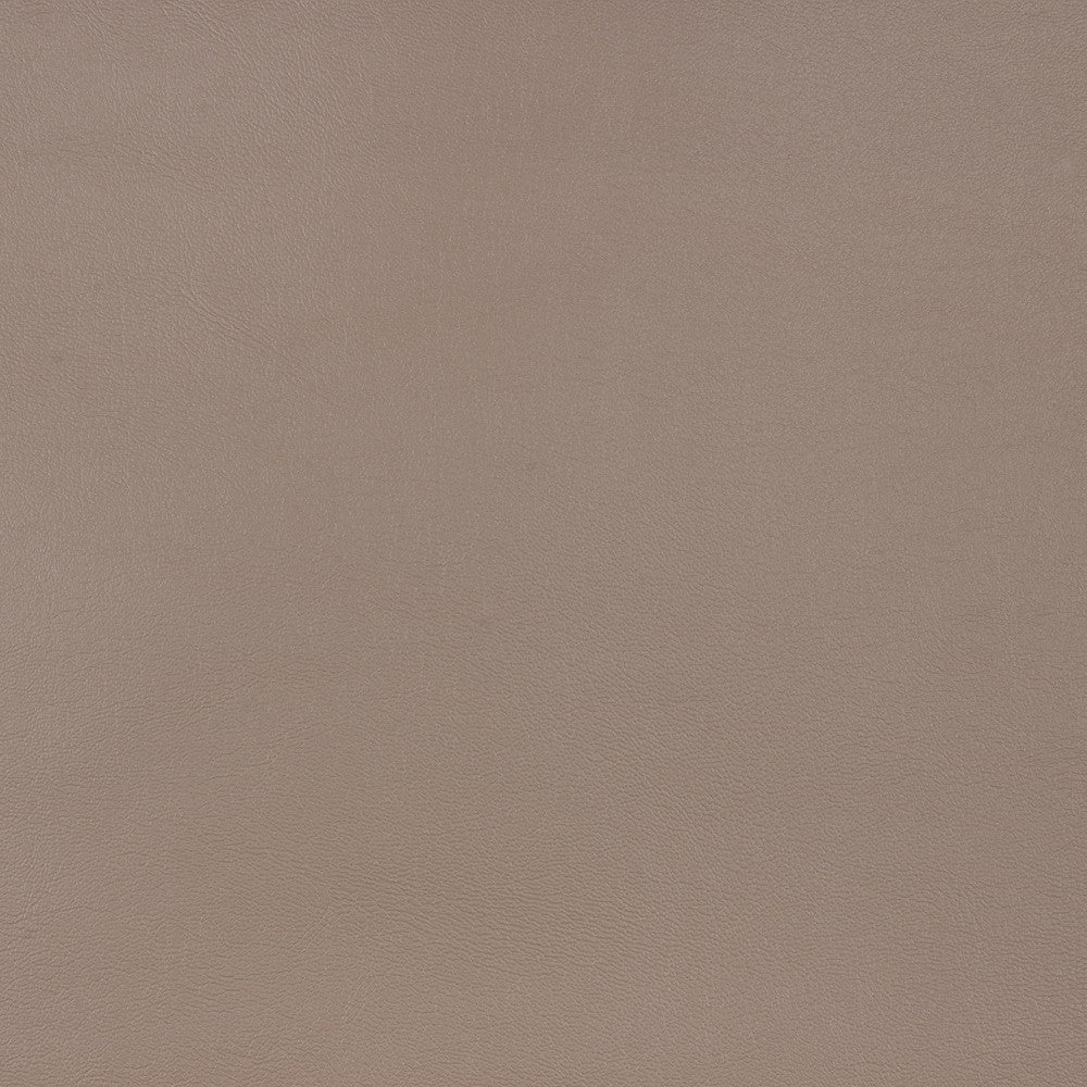 10200-0010 Capriccio Taupe by Sunbrella Designer Fabric Sunbrella Horizon Capriccio Marine Upholstery SunbrellaÂ® Engineered Leather USA or Imported 5-Year, 3-Year Microbial Pink Staining Horizontal: and Vertical: 54 in. - Swanky Fabrics -