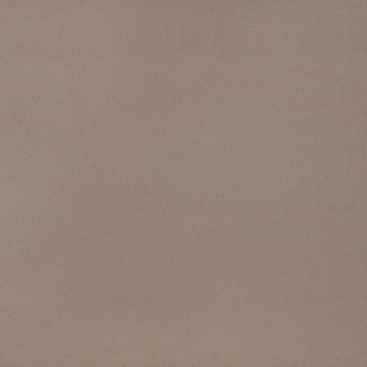 10200-0010 Capriccio Taupe by Sunbrella Designer Fabric Sunbrella Horizon Capriccio Marine Upholstery SunbrellaÂ® Engineered Leather USA or Imported 5-Year, 3-Year Microbial Pink Staining Horizontal: and Vertical: 54 in. - Swanky Fabrics -