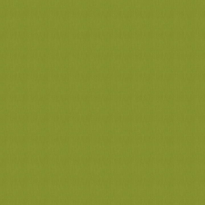 SJA 3738 137 Canvas Macao by Sunbrella Designer Fabric Sunbrella European Sunbrella® Acrylic, Sunbrella® Polyester USA or Imported 5-Year Horizontal: and Vertical: 54 in. - Swanky Fabrics -