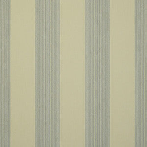 D322 Pencil Green by Sunbrella Designer Fabric