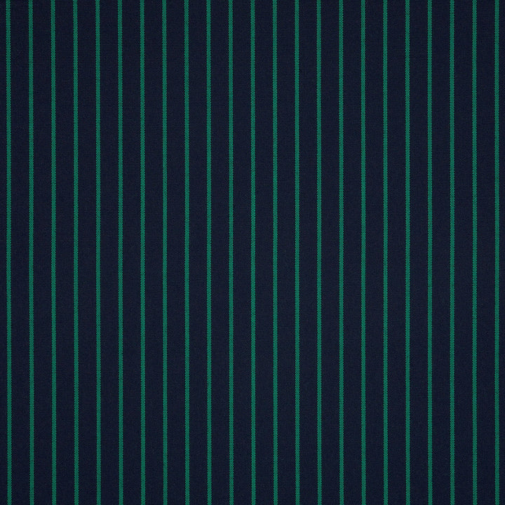 14050-0006 Scale Prep by Sunbrella Designer Fabric Sunbrella Acrylic USA or Imported 5-Year Horizontal: 60 yd. and Vertical: 0.6 in. 54 in. - Swanky Fabrics -