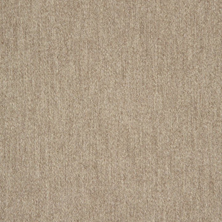 40501-0012 Pashmina Alpaca by Sunbrella Designer Fabric Sunbrella Fusion SunbrellaÂ® Acrylic, SunbrellaÂ® Polyester USA or Imported 5-Year Horizontal: and Vertical: 60 yd. 54 in. - Swanky Fabrics -