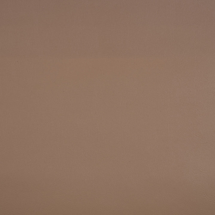10200-0009 Capriccio Dune by Sunbrella Designer Fabric Sunbrella Horizon Capriccio Marine Upholstery Sunbrella® Engineered Leather USA or Imported 5-Year, 3-Year Microbial Pink Staining Horizontal: and Vertical: 54 in. - Swanky Fabrics -