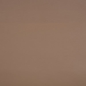 10200-0009 Capriccio Dune by Sunbrella Designer Fabric