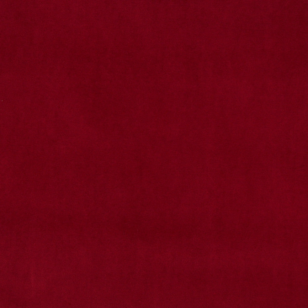 10000-02 by Charlotte Designer Fabric Cotton Velvet 100% Cotton, Velvet Made In USA Exceeds 100,000 Wyzenbeek Rubs (Heavy Duty) No Repeat 54 Inches - Swanky Fabrics -