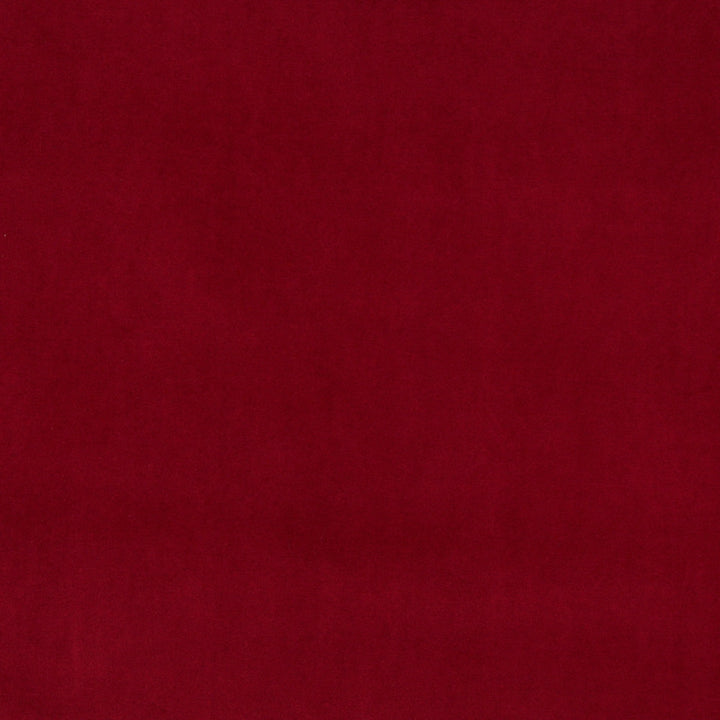 10000-02 by Charlotte Designer Fabric Cotton Velvet 100% Cotton, Velvet Made In USA Exceeds 100,000 Wyzenbeek Rubs (Heavy Duty) No Repeat 54 Inches - Swanky Fabrics -