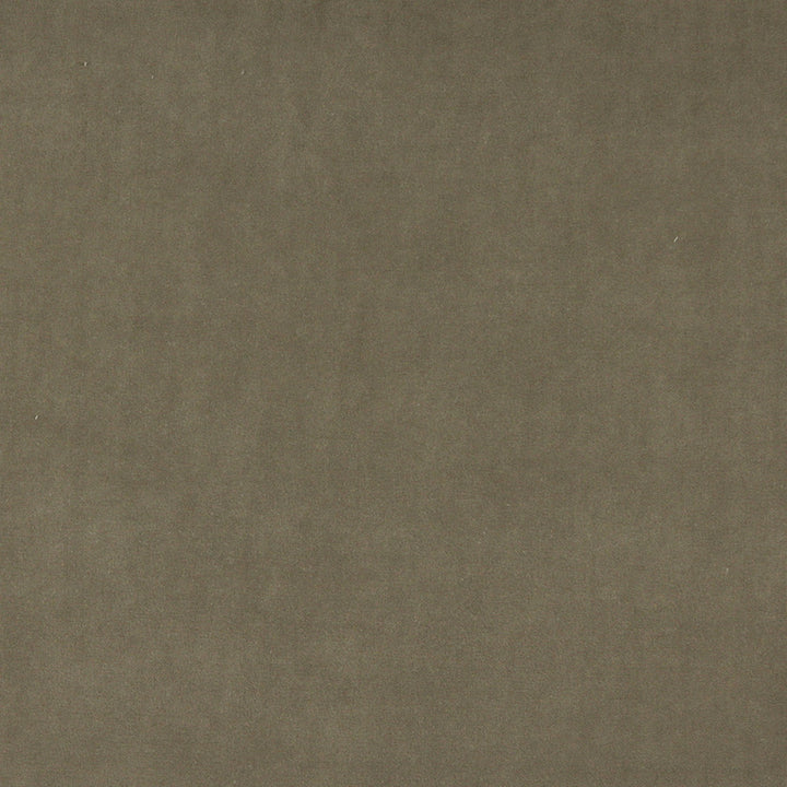 10000-04 by Charlotte Designer Fabric Cotton Velvet 100% Cotton, Velvet Made In USA Exceeds 100,000 Wyzenbeek Rubs (Heavy Duty) No Repeat 54 Inches - Swanky Fabrics -