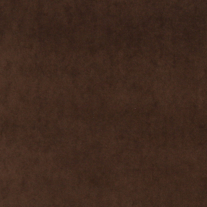 10000-05 by Charlotte Designer Fabric Cotton Velvet 100% Cotton, Velvet Made In USA Exceeds 100,000 Wyzenbeek Rubs (Heavy Duty) No Repeat 54 Inches - Swanky Fabrics -