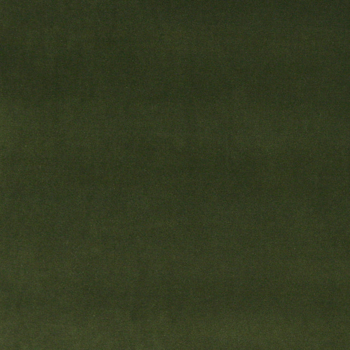 10000-07 by Charlotte Designer Fabric Cotton Velvet 100% Cotton, Velvet Made In USA Exceeds 100,000 Wyzenbeek Rubs (Heavy Duty) No Repeat 54 Inches - Swanky Fabrics -