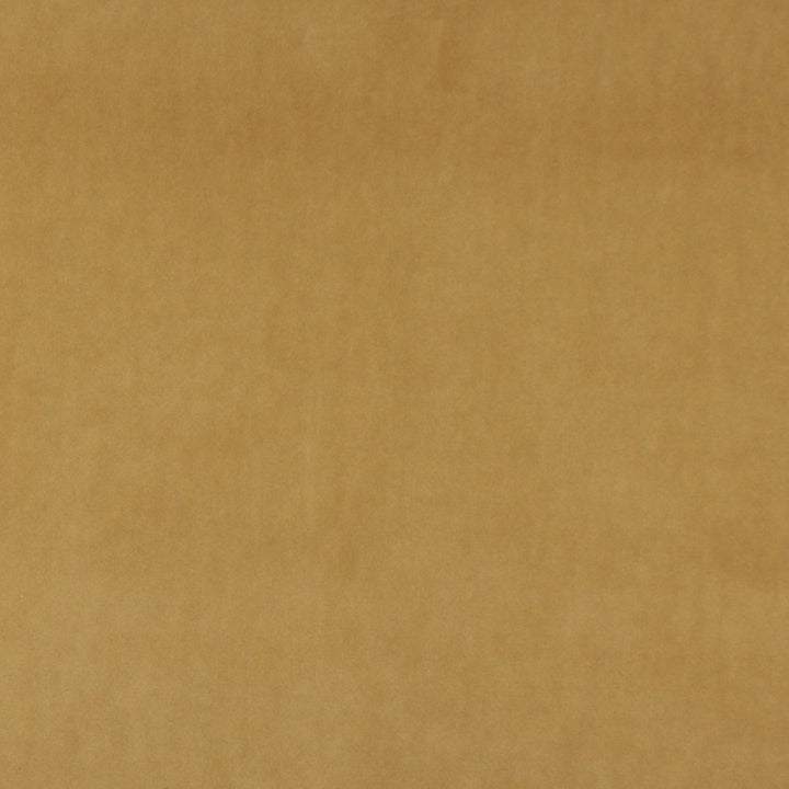 10000-08 by Charlotte Designer Fabric Cotton Velvet 100% Cotton, Velvet Made In USA Exceeds 100,000 Wyzenbeek Rubs (Heavy Duty) No Repeat 54 Inches - Swanky Fabrics -