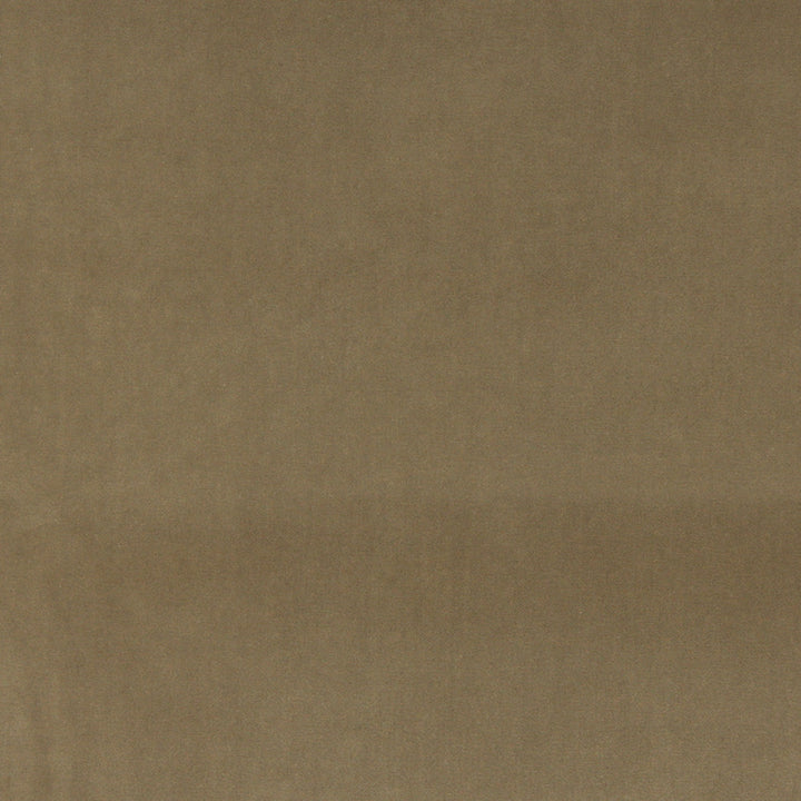 10000-10 by Charlotte Designer Fabric Cotton Velvet 100% Cotton Made In USA Exceeds 100,000 Wyzenbeek Rubs (Heavy Duty) </p><p>Repeat: 54 Inches - Swanky Fabrics -