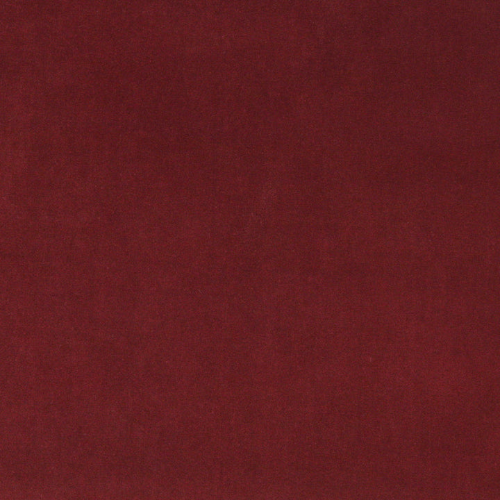 10000-14 by Charlotte Designer Fabric Cotton Velvet 100% Cotton Made In USA Exceeds 100,000 Wyzenbeek Rubs (Heavy Duty) </p><p>Repeat: 54 Inches - Swanky Fabrics -