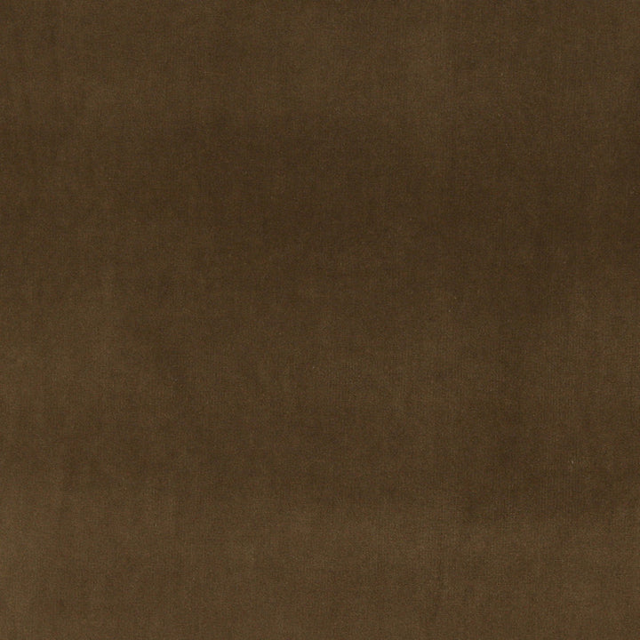 10000-15 by Charlotte Designer Fabric Cotton Velvet 100% Cotton Made In USA Exceeds 100,000 Wyzenbeek Rubs (Heavy Duty) </p><p>Repeat: 54 Inches - Swanky Fabrics -
