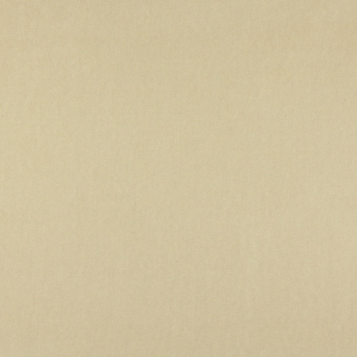 10000-16 by Charlotte Designer Fabric Cotton Velvet 100% Cotton, Velvet Made In USA Exceeds 100,000 Wyzenbeek Rubs (Heavy Duty) No Repeat 54 Inches - Swanky Fabrics -