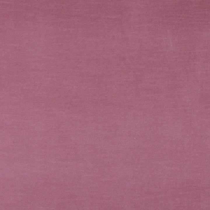 10001-02 by Charlotte Designer Fabric Cotton Velvet 100% Cotton, Velvet Made In USA Exceeds 100,000 Wyzenbeek Rubs (Heavy Duty) No Repeat 54 Inches - Swanky Fabrics -