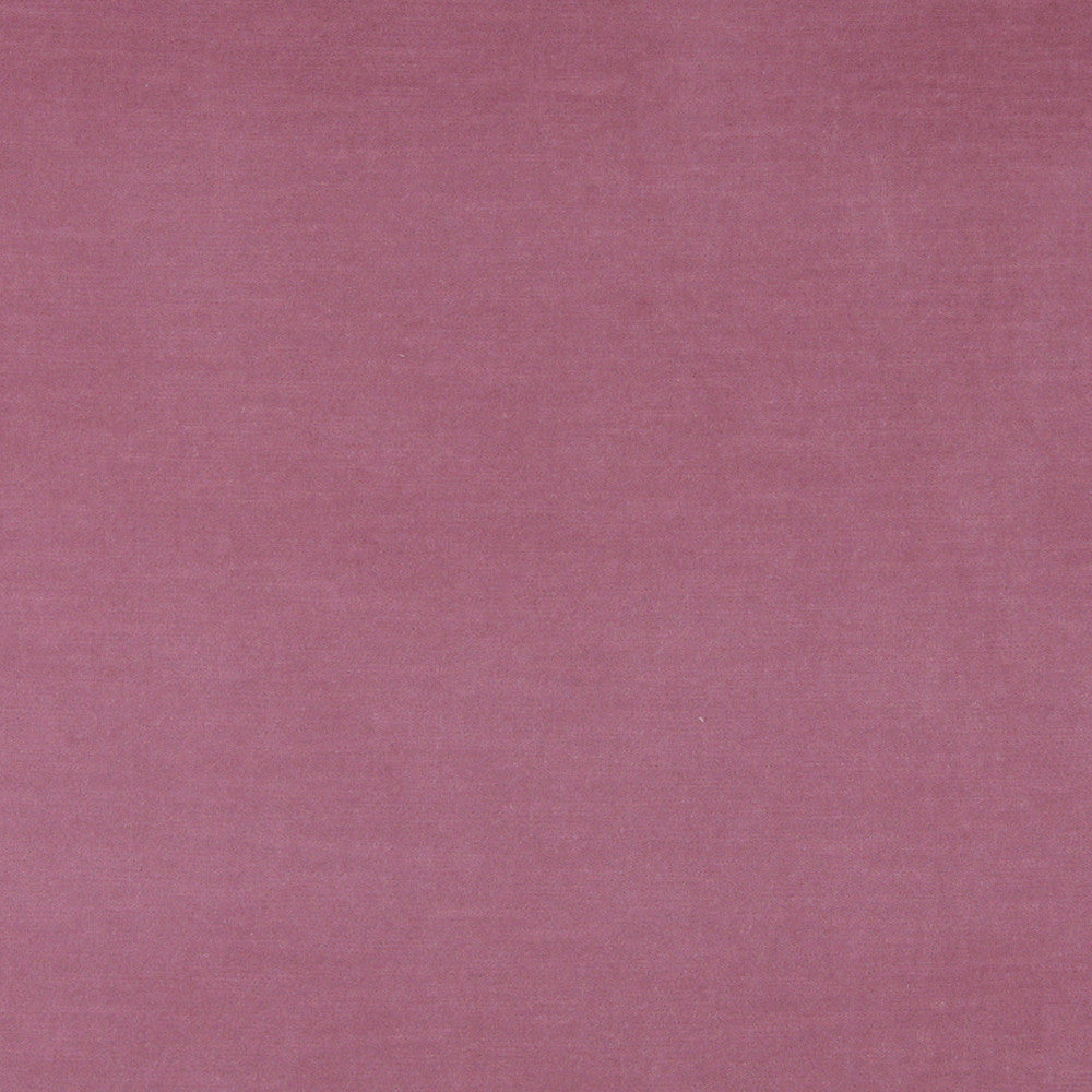 10001-02 by Charlotte Designer Fabric Cotton Velvet 100% Cotton Made In USA Exceeds 100,000 Wyzenbeek Rubs (Heavy Duty) </p><p>Repeat: 54 Inches - Swanky Fabrics -