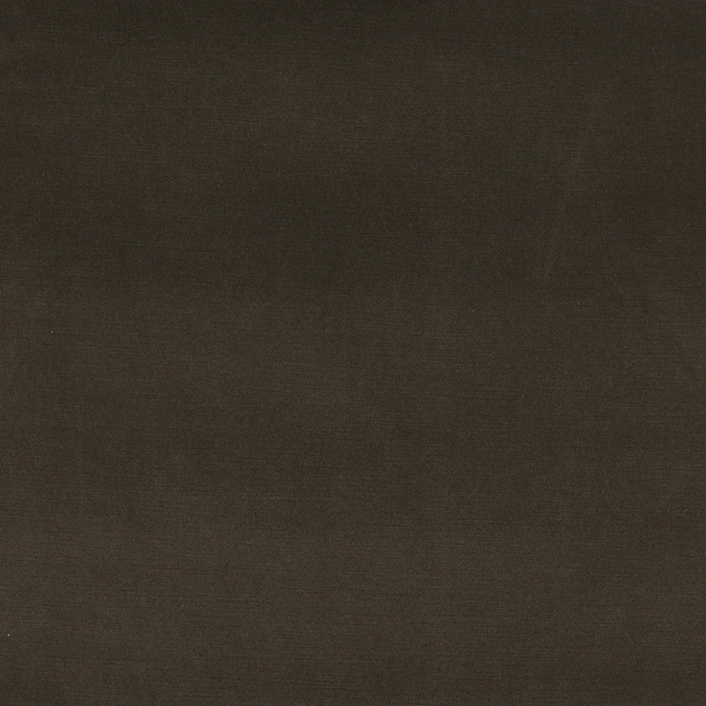 10001-03 by Charlotte Designer Fabric Cotton Velvet 100% Cotton, Velvet Made In USA Exceeds 100,000 Wyzenbeek Rubs (Heavy Duty) No Repeat 54 Inches - Swanky Fabrics -