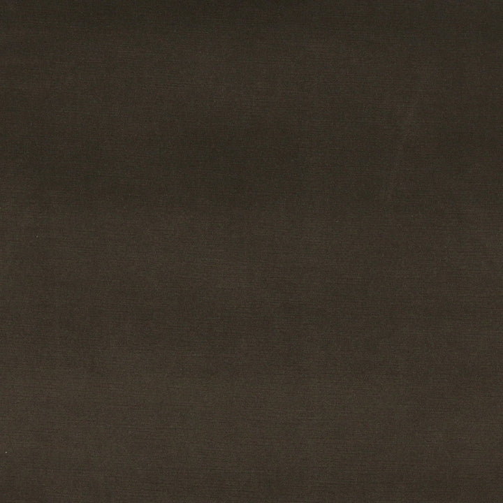 10001-03 by Charlotte Designer Fabric Cotton Velvet 100% Cotton, Velvet Made In USA Exceeds 100,000 Wyzenbeek Rubs (Heavy Duty) No Repeat 54 Inches - Swanky Fabrics -