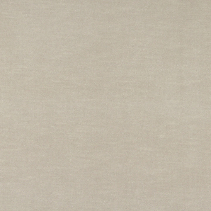 10001-04 by Charlotte Designer Fabric Cotton Velvet 100% Cotton, Velvet Made In USA Exceeds 100,000 Wyzenbeek Rubs (Heavy Duty) No Repeat 54 Inches - Swanky Fabrics -