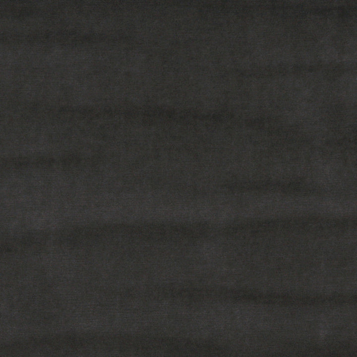 10001-06 by Charlotte Designer Fabric Cotton Velvet 100% Cotton, Velvet Made In USA Exceeds 100,000 Wyzenbeek Rubs (Heavy Duty) No Repeat 54 Inches - Swanky Fabrics -