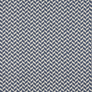 10004-05 by Charlotte Designer Fabric