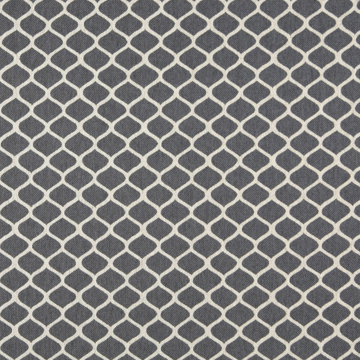 10008-02 by Charlotte Designer Fabric Vogue 60% Cotton, 30% Polyester, 10% Flax Made In USA Exceeds 200,000 Wyzenbeek Rubs (Heavy Duty) Horizontal: 1.5" x Vertical: 1.5" 54 Inches - Swanky Fabrics -