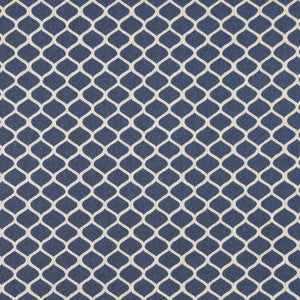 10008-05 by Charlotte Designer Fabric