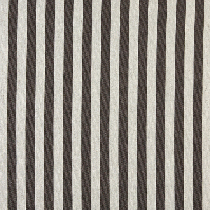 10009-04 by Charlotte Designer Fabric Vogue 60% Cotton, 30% Polyester, 10% Flax Made In USA Exceeds 200,000 Wyzenbeek Rubs (Heavy Duty) Horizontal: 1.5" 54 Inches - Swanky Fabrics -