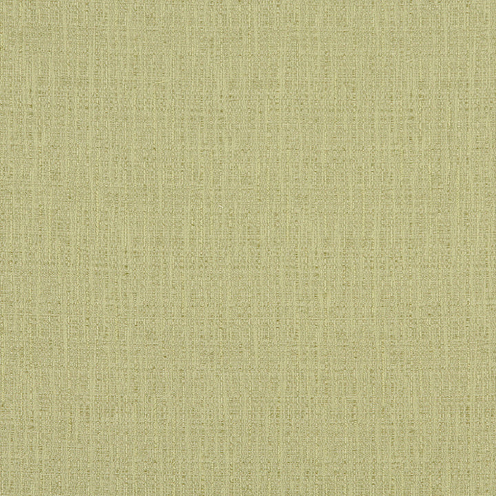 10031-02 by Charlotte Designer Fabric Cityscapes 59% Cotton, 41% Polyester Taiwan Exceeds 48,000 Wyzenbeek Rubs (Heavy Duty) No Repeat 54 Inches - Swanky Fabrics -