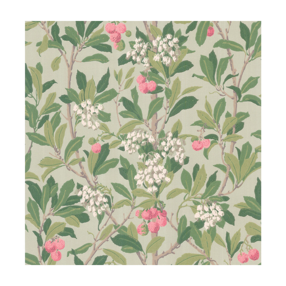 Strawberry Tree Pink & Duck Egg by Cole & Son Designer Wallcovering COLE & SON ARCHIVE ANTHOLOGY PAPER - 100% United Kingdom - Horizontal: - and Vertical: 21.1 20.5 - Swanky Fabrics -