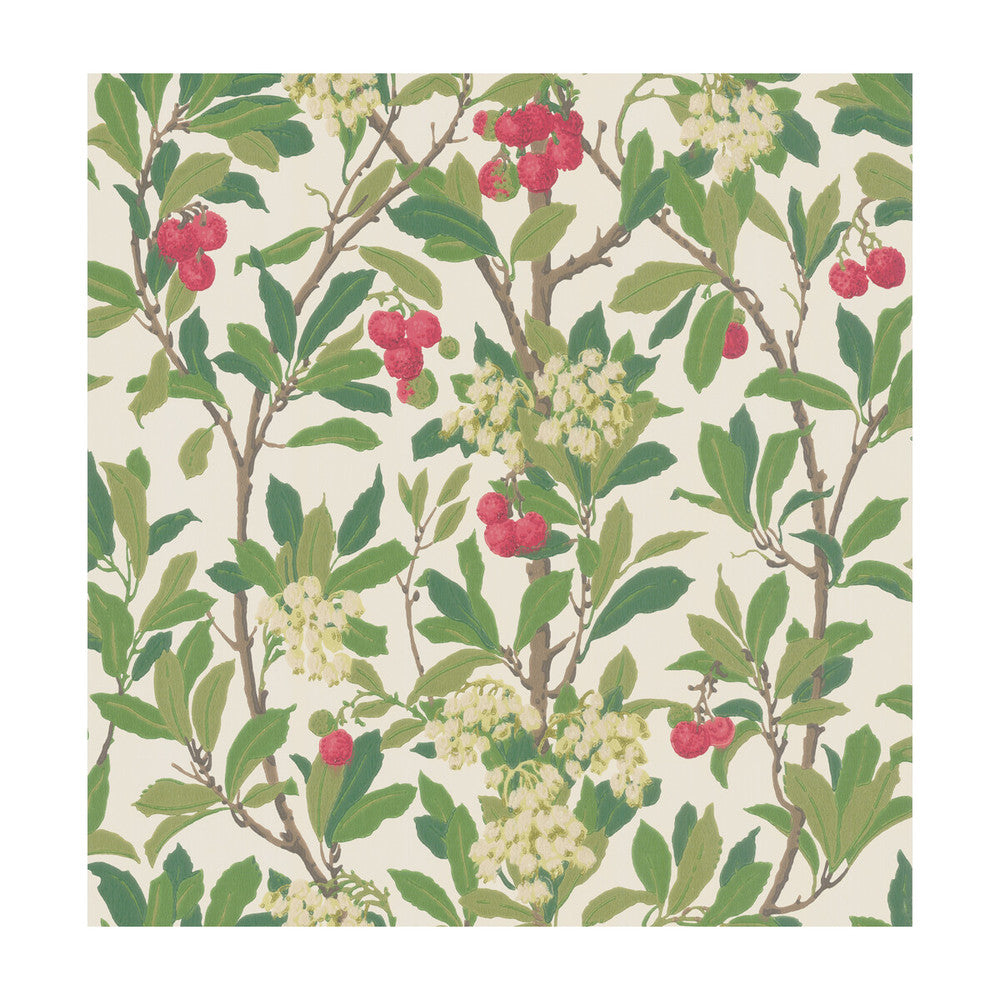 Strawberry Tree Scarlet & Ivory by Cole & Son Designer Wallcovering COLE & SON ARCHIVE ANTHOLOGY PAPER - 100% United Kingdom Horizontal: and Vertical: 21.1 20.5 - Swanky Fabrics -
