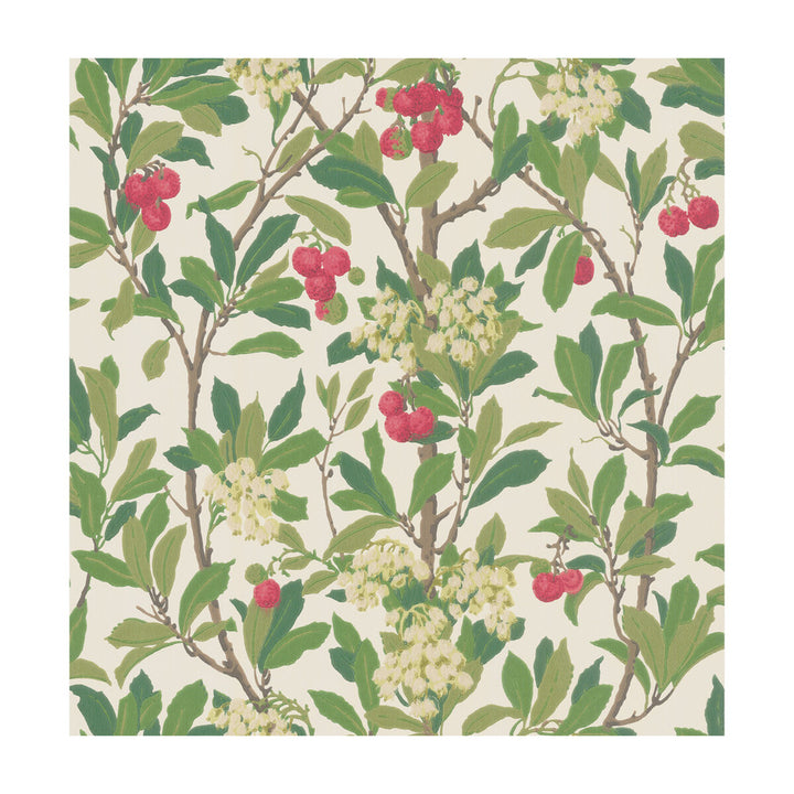 Strawberry Tree Scarlet & Ivory by Cole & Son Designer Wallcovering COLE & SON ARCHIVE ANTHOLOGY PAPER - 100% United Kingdom Horizontal: and Vertical: 21.1 20.5 - Swanky Fabrics -