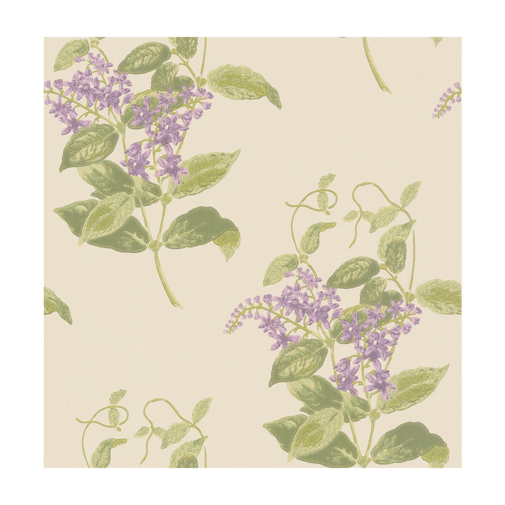 Madras Violet Olive & Lavender by Cole & Son Wallcovering Cole & Son Wallcovering Madras Violet Olive & LavenderWallcovering COLE & SON ARCHIVE ANTHOLOGY PAPER - 100% United Kingdom </p><p>Repeat: H: , V: 21 20.5 - Fabric Carolina -