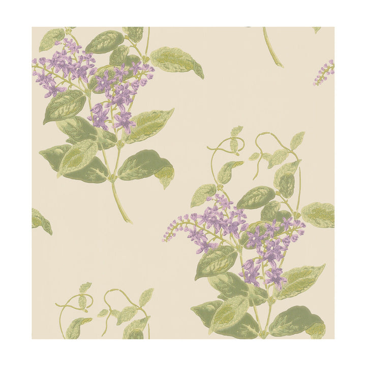 Madras Violet Olive & Lavender by Cole & Son Designer Wallcovering COLE & SON ARCHIVE ANTHOLOGY PAPER - 100% United Kingdom - Horizontal: - and Vertical: 21 20.5 - Swanky Fabrics -