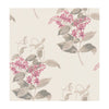 Madras Violet Pink by Cole & Son Designer Wallcovering