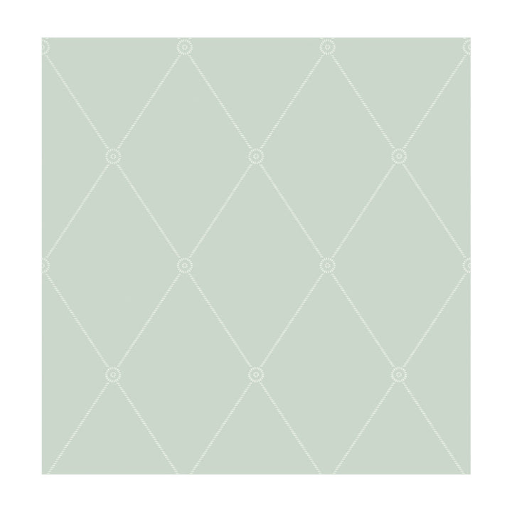 Large Georgian Rope Trellis Duck Egg by Cole & Son Wallcovering Cole & Son Wallcovering Large Georgian Rope Trellis Duck EggWallcovering COLE & SON ARCHIVE ANTHOLOGY PAPER - 100% United Kingdom </p><p>Repeat: H: , V: 10.4 20.5 - Fabric Carolina -