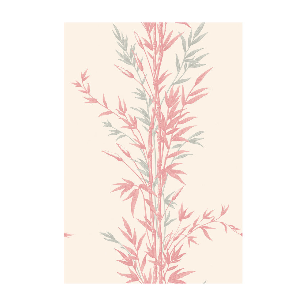 Bamboo Pink by Cole & Son Designer Wallcovering COLE & SON ARCHIVE ANTHOLOGY PAPER - 100% United Kingdom Horizontal: and Vertical: 30 20.5 - Swanky Fabrics -