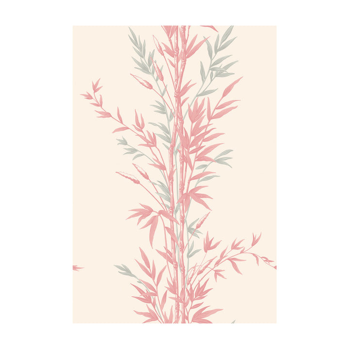 Bamboo Pink by Cole & Son Designer Wallcovering COLE & SON ARCHIVE ANTHOLOGY PAPER - 100% United Kingdom - Horizontal: - and Vertical: 30 20.5 - Swanky Fabrics -