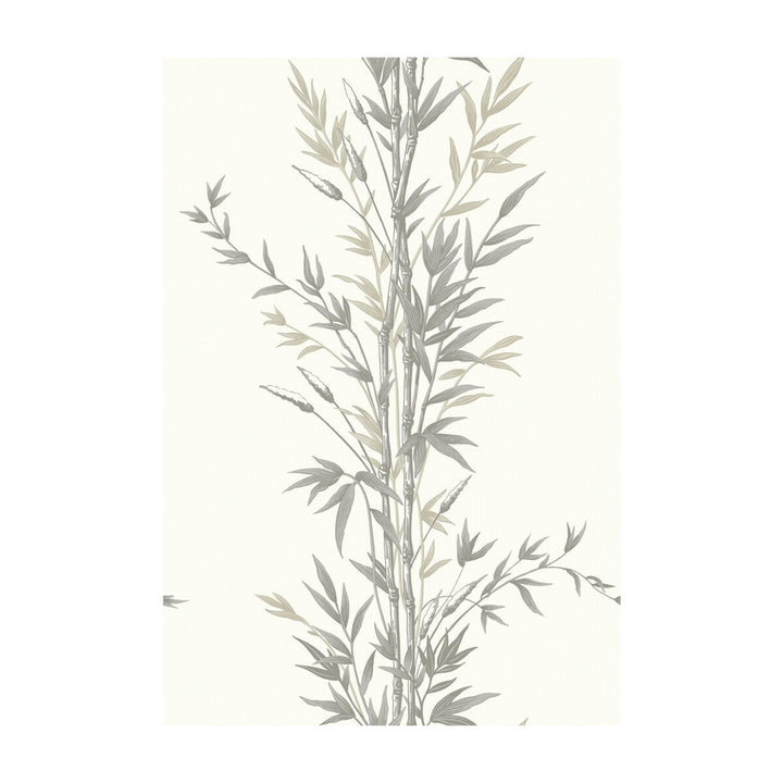 Bamboo Charcoal by Cole & Son Wallcovering Cole & Son Wallcovering Bamboo CharcoalWallcovering COLE & SON ARCHIVE ANTHOLOGY PAPER - 100% United Kingdom </p><p>Repeat: H: , V: 30 20.5 - Fabric Carolina -