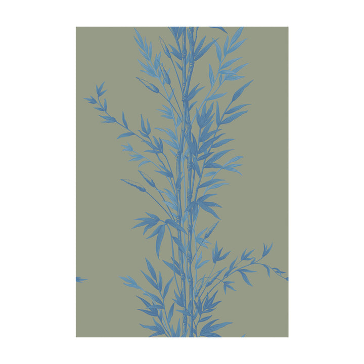 Bamboo Blue On Khaki by Cole & Son Wallcovering Cole & Son Wallcovering Bamboo Blue On KhakiWallcovering COLE & SON ARCHIVE ANTHOLOGY PAPER - 100% United Kingdom </p><p>Repeat: H: , V: 30 20.5 - Fabric Carolina -