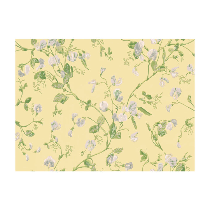 Sweet Pea Yellow by Cole & Son Designer Wallcovering COLE & SON ARCHIVE ANTHOLOGY PAPER - 100% United Kingdom - Horizontal: - and Vertical: 15 20.5 - Swanky Fabrics -