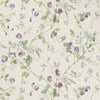 Sweet Pea Violet by Cole & Son Designer Wallcovering