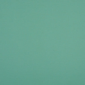 10104-01 by Charlotte Designer Fabric