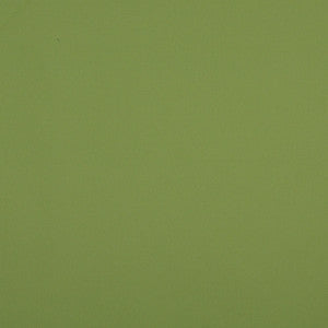 10104-06 by Charlotte Designer Fabric