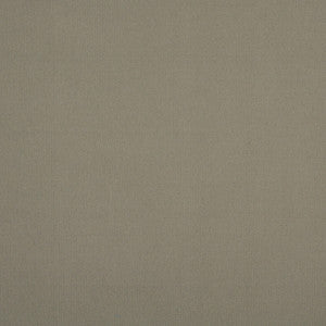 10104-10 by Charlotte Designer Fabric