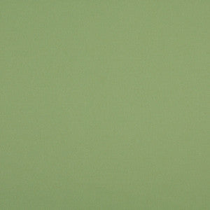 10104-12 by Charlotte Designer Fabric