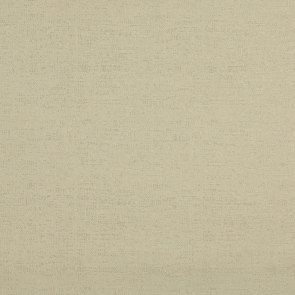 10109-01 by Charlotte Designer Fabric Outdoor/Indoor Wovens 100% Solution Dyed Woven Olefin Made In USA Exceeds 100,000 Wyzenbeek Rubs (Heavy Duty) No Repeat 54 Inches - Swanky Fabrics -