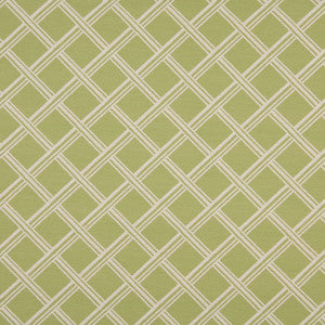 10118-01 by Charlotte Designer Fabric