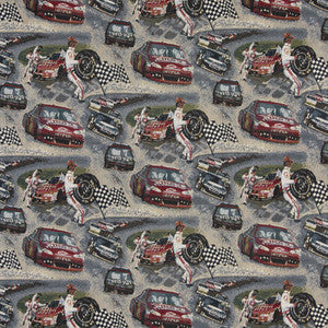 1012 Nascar by Charlotte Designer Fabric